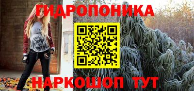 хмурый Кингисепп